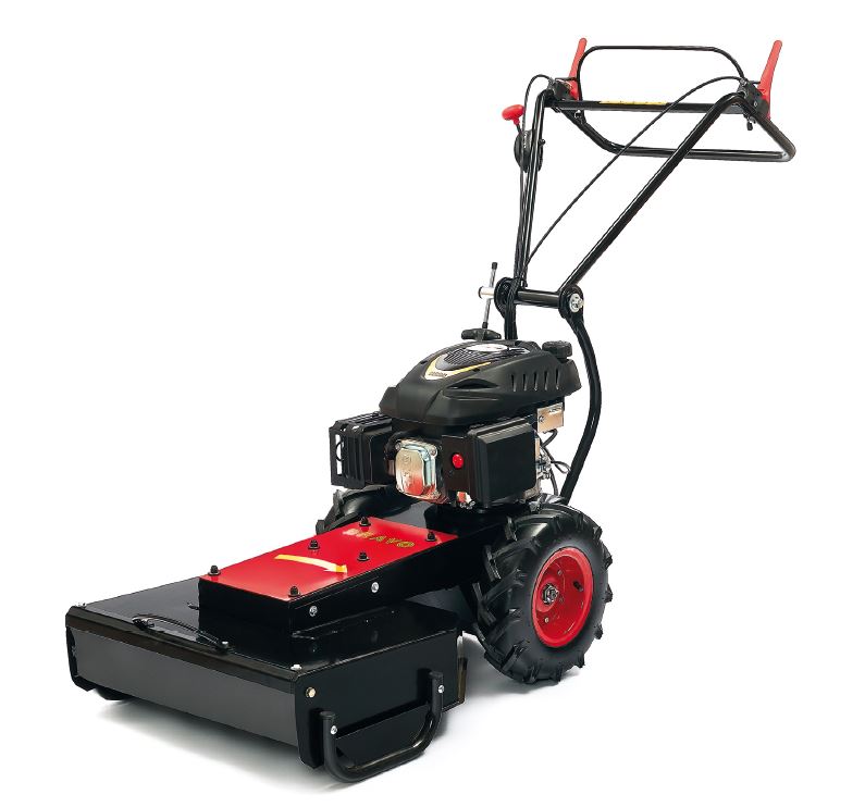 Mulova MOTOR JIKOV BRAVO HONDA GCVx 200 s varitorem