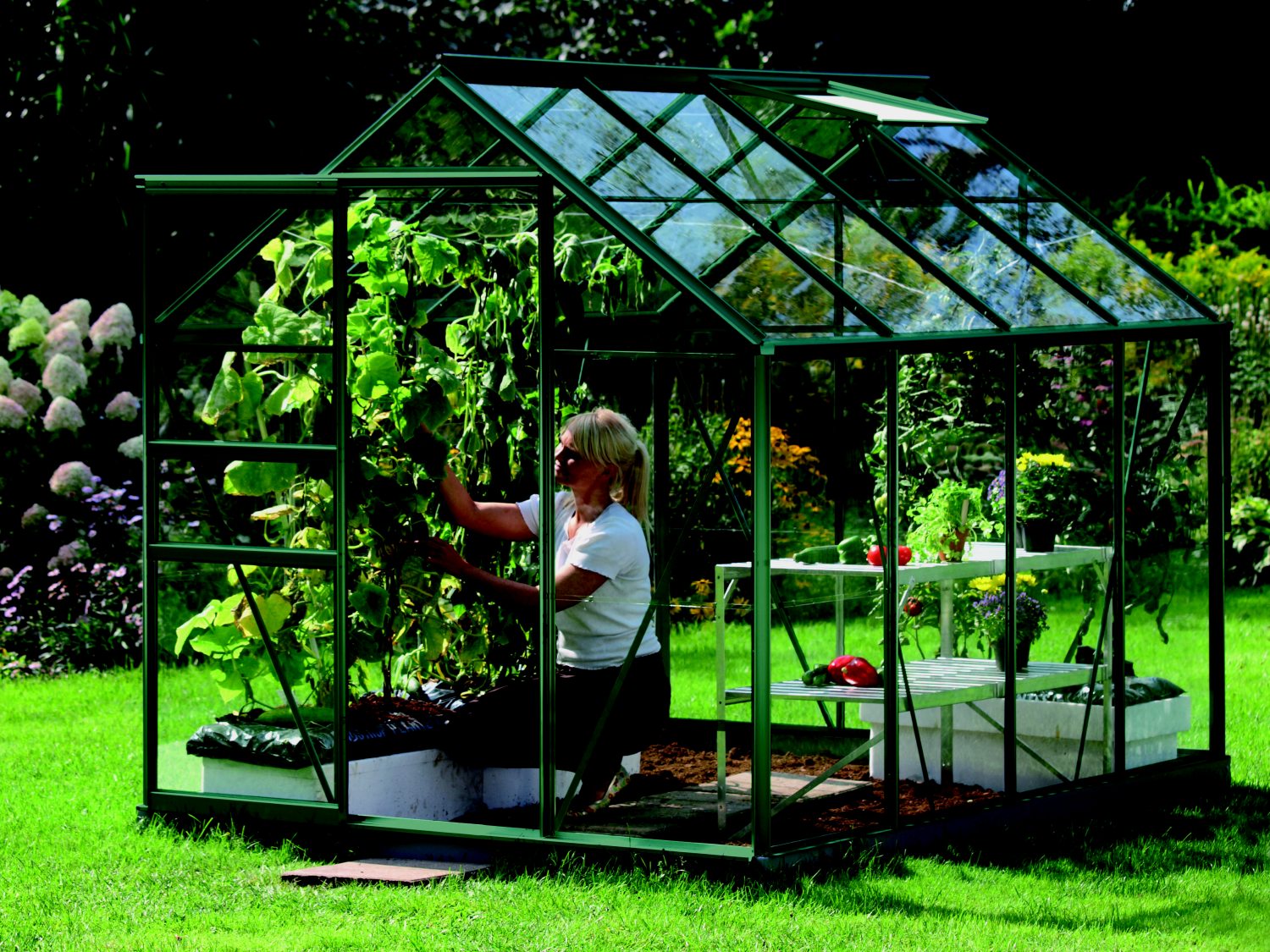 sklenk VITAVIA VENUS 5000 ir sklo 3 mm zelen