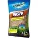 obnovov smsi