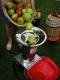 SHARK FRUIT - celonerezov drti ovoce  2