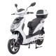 Elektrosktr RACCEWAY E-FICHTL, bl-leskl s bateri 12Ah 6