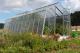 Limes HOBBY H 7 / 6 - sklenk  1