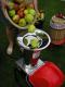Lis na ovoce 18L/2t NEREZ PROFI + Drti ovoce SHARK FRUIT 2