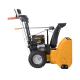 Riwall PRO RPST 6065 - dvoustupov snhov frza 6,5 HP 1