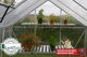 sklenk VITAVIA VENUS 3800 PC 4 mm stbrn 1