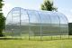sklenk LANITPLAST GLADUS 3x6 m PC 6 mm 4