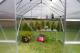 sklenk VITAVIA URANUS 11500 PC 4 mm zelen 4