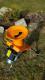 SHARK 2,2 kW drti odpadu 4