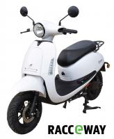 Elektrosktr RACCEWAY DTR, leskl bl