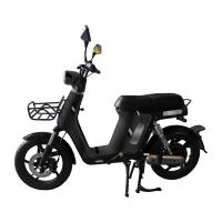 Elektrosktr RACCEWAY E-BABETA II, ern