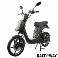 Elektrosktr RACCEWAY E-BABETA, mask zelen