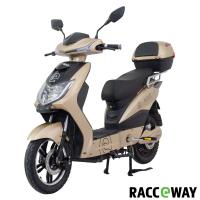 Elektrosktr RACCEWAY E-FICHTL, sv.zlat-matn s bateri 12Ah