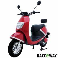 Elektrosktr RACCEWAY MONA, erven