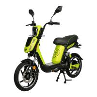Elektrosktr RACCEWAY E-BABETA, zelen-metalza, bez baterie