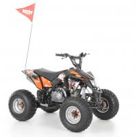 HECHT 54125 BLACK - motorov tykolka