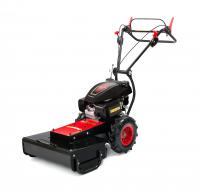 Mulova MOTOR JIKOV BRAVO HONDA GCVx 200 s varitorem