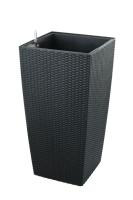 Samozavlaovac kvtin G21 Linea ratan big ern 76cm